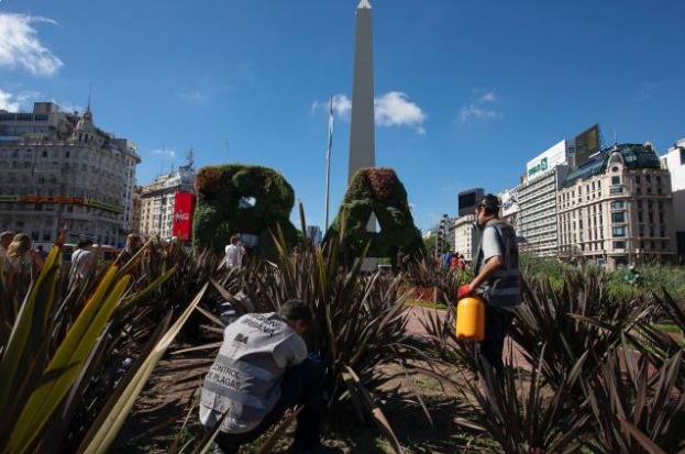 Control de plagas: acciones permanentes para todos los porteños