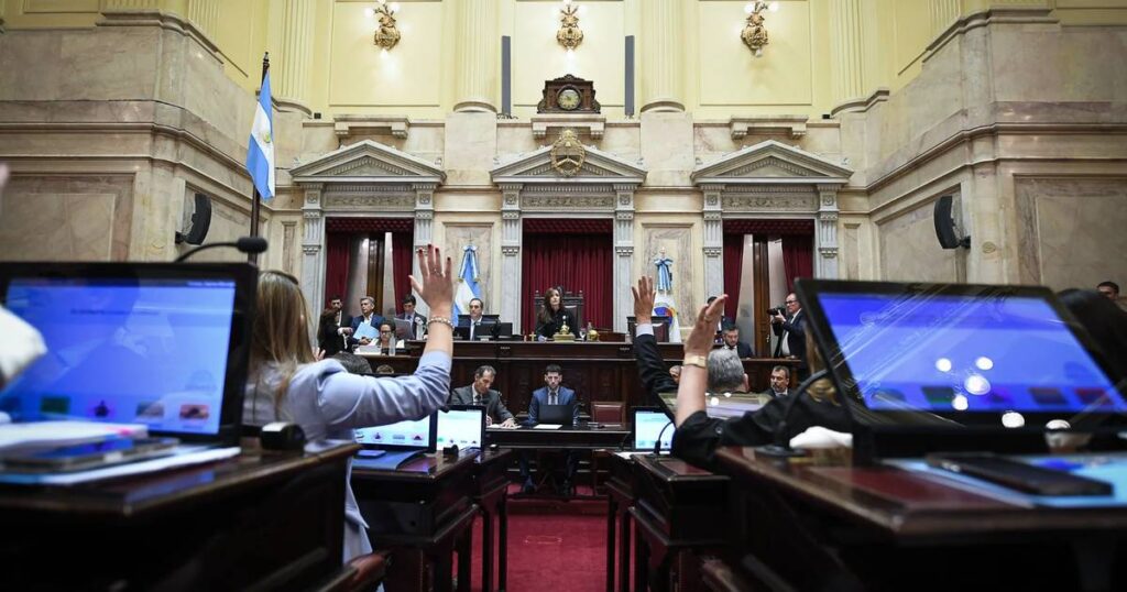 El Senado aprobó la reforma de la Ley de Salud Mental: qué cambios propone el Gobierno